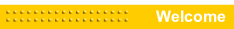 wp62a4544d.png